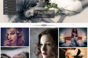 theme wordpress photo perfect
