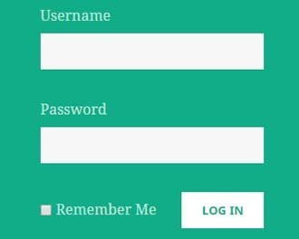 frontend login widget