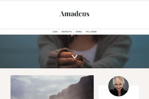 theme wordpress amadeus responsive gratis