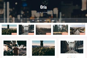 theme wordpress oria responsive free