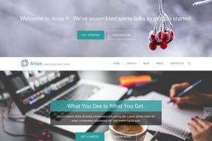 theme wordpress arise responsive free