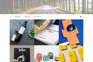 theme wordpress pine responsive free