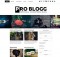 theme wordpress pro blog free