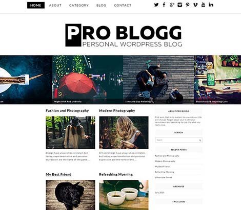 theme wordpress pro blog free