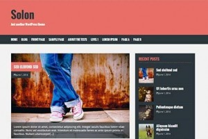 theme wordpress solon responsive gratis