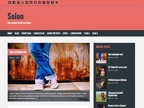 theme wordpress solon responsive gratis
