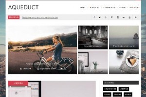 Aqueduct theme wordpress responsive free