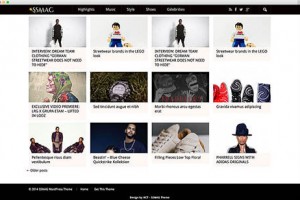 the ssmag responsive free wordpress