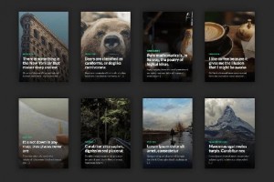 theme wordpress caos responsive free