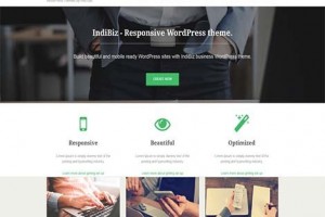 theme wordpress indibiz responsive free