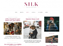 theme wordpress silk free blog