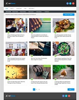 theme-wordpress-ad-sense