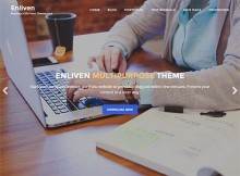 enliven responsive wordpress free