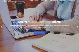 enliven responsive wordpress free
