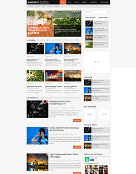 tema wordpress google adsense DayNight