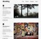 theme wordpress munding lite responsive free