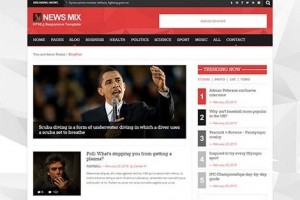 theme wordpress news mix lite