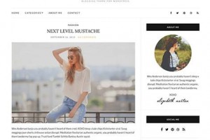 theme wordpress olsen light responsive free