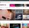 theme wordpress accesspress mag free