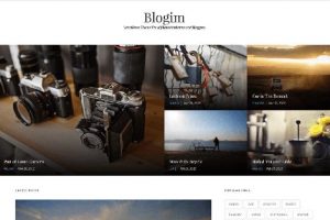 theme wordpress blogim responsive free