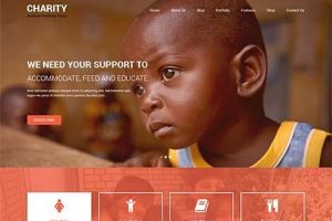 theme wordpress skt charity free