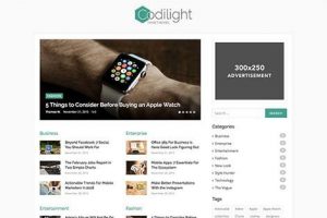 theme wordpress codilight lite responsive free