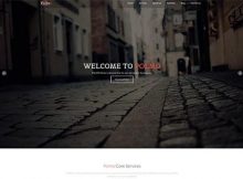 theme wordpress polmo lite responsive