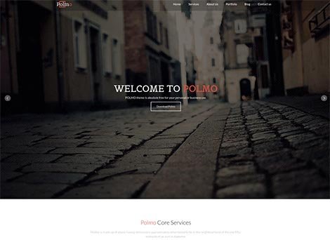 theme wordpress polmo lite responsive