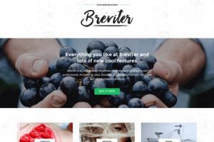 Breviter themes responsive Free
