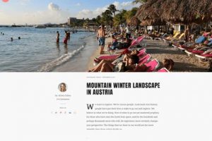 Theme Wordpress Snowbird