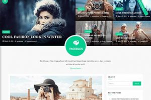 theme faceblog responsive free