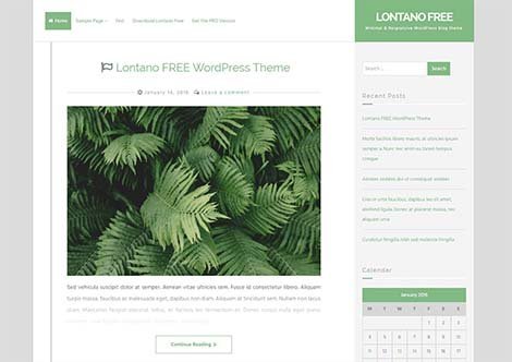 theme wordpress lontano responsive
