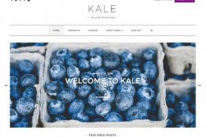 theme-wordpress-kale-free