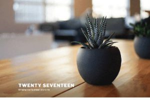 Theme Twenty Seventeen Free