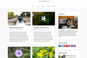 Theme WordPress Aster Free