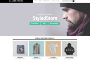 Styled Store Theme WordPress Free