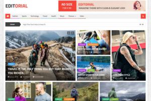 Theme WordPress Editorial Gratis