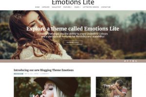 Theme WordPress Emotions Lite Responsive Free