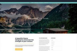 Theme WordPress Juno Responsive Free