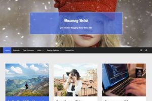 Theme Masonry Brick Responsive Free