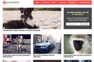 NovaPress Theme WordPress Free