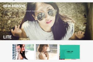 Theme WordPress InCart Lite Responsive Free