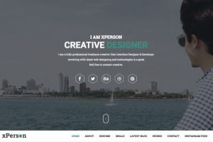 Theme WordPress xPerson Lite