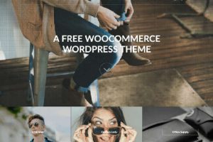 Theme WordPress LitheStore Responsive Free