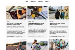 Zomer Themes WordPress Responsive Free