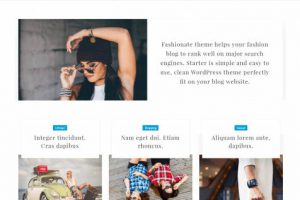 Theme WordPress Fashionate Responsive Free