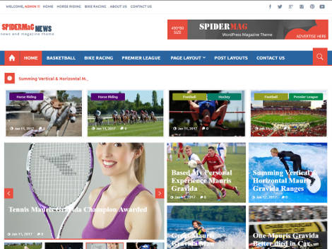 Theme WordPress SpiderMag Responsive Free