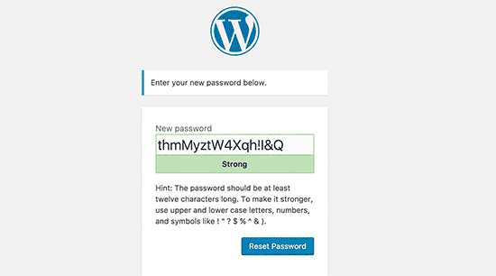 password baru wordpress