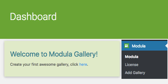 Membuat Galeri Foto WordPress dengan Modula Gallery 1