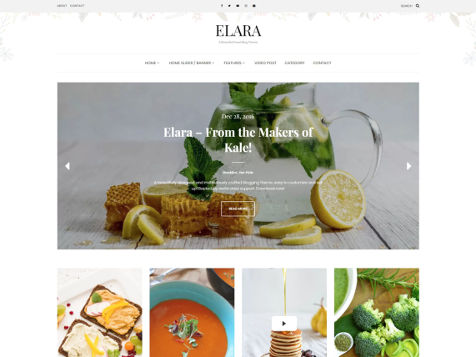 Theme WordPress Elara Responsive Free